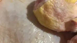 Late nite feed