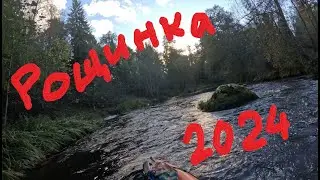 Рощинка 2024