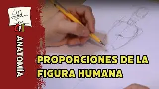 Proporciones de la figura humana