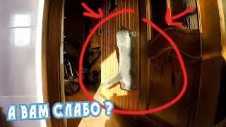 ПРИКОЛЫ С КОТОМ ! Смешные Коты 2020 Funny Cats