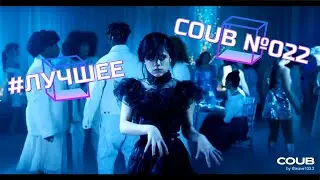 Coub №022 | Приколы