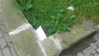 zycie ale za kazdym razem kiedy chcę się zabić przyspiesza 2