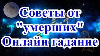 Советы от 