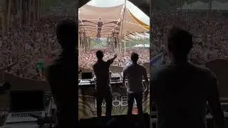 KILLERWATTS AT BAOBA FESTIVAL