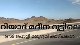 Riyadh To Madina/മരുഭൂമി കാഴ്ചകൾ #desert #travel #sakalakalamedia
