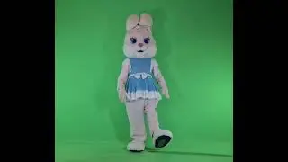 зайчик на зелёном фоне,  футаж, хромакей