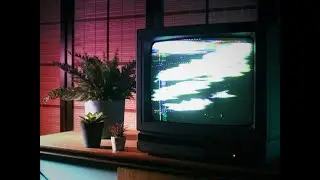 Man Without Country - Gardener in a War (Lyric Visualizer)