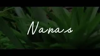 Cinematic | Nature