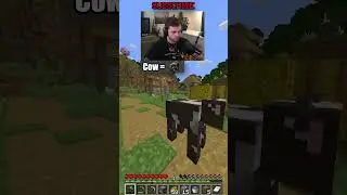 Minecraft, but if chat spells “vex” 10 of them spawn…