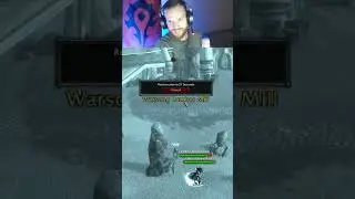 А вы готовы отдать жизнь за орду? БГ в WOW SOD 