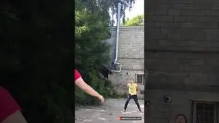 Волейбольные мячи