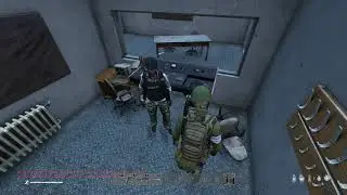 Dayz