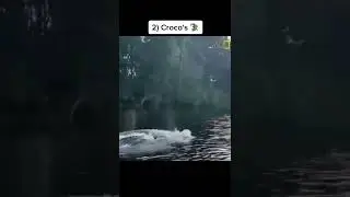 Animals That You Can Not Run Out 😰