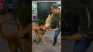 Simplesmente incrível.