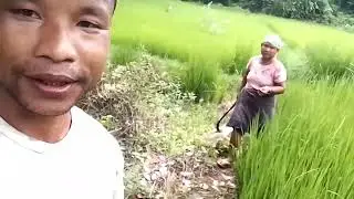 Mi niani vlog video//Rowel cheran momin