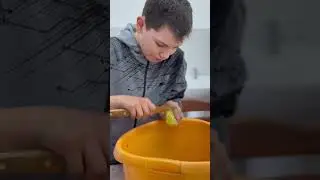 игра "Алау" май 2024