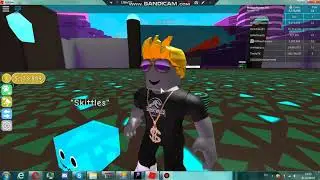 Играю с другом в роблокс в Pet Simulator №2