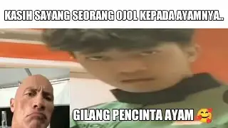 Gilang Pecinta Ayam..