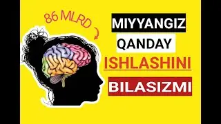 MIYYANGIZ HAQIDA VA FOYDALI MASLAHATLAR