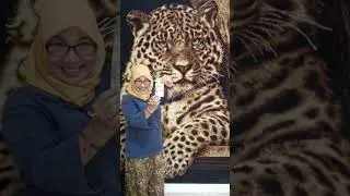 kok jadi gini #lucu #cuan #kaya #duit # hiburan
