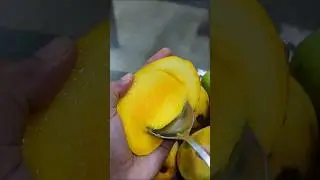 SWEET MANGOES #shorts#mangoes