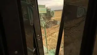 #уборкариса