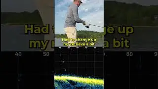 Have You Tried Hover Strolling? 