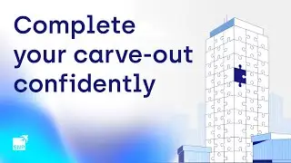 Complete your carve-out confidently