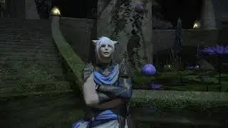 FFXIV Kvothe Emote Macro