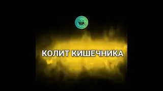 21 апреля 2024 г.