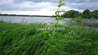 CODES 2022  | CÓDIGOS 2022 | КОДЫ 2022