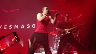 VESNA305 - Беламоре