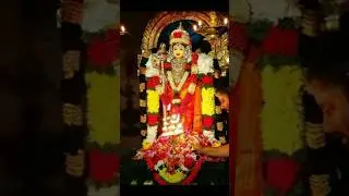 திருச்செந்தூரில் நடந்த உண்மை சம்பவம்🐓முருக பக்தராக மாறிய சம்பவம்🙏 #shorts #short #trending #viral#om