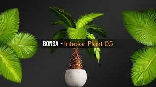 Bonsai Interior Plant 05   Preview Animation