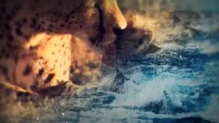 other.Life | 720p Awesome