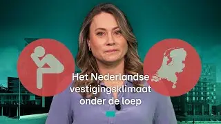 Is het voor bedrijven echt zo slecht in Nederland?  • Z zoekt uit