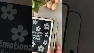 Which ereaders fit into the kindle sleeve