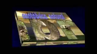 Cabecera 
