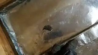 3 Внутренняя отделка бани полы