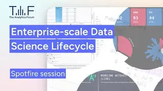 Enterprise-Scale Data Science Lifecycle
