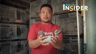 Feathering Technique