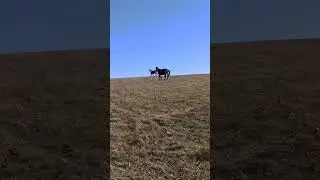 между небом и землёй