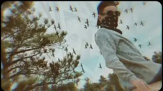 Scarz - K-!-NG P-!-N