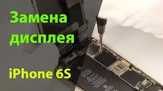 Замена дисплея на iPhone 6S