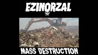 Mass Destruction 2010