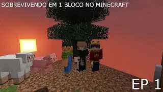 Sobrevivendo Em 1 Bloco - Ep 1