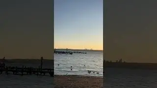 Marina Brach Park Sunset 🌆 