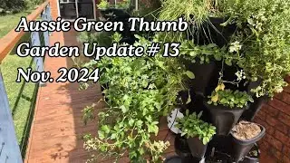 Nathan's Garden Update 9/10 - harvesting, seedlings, forum