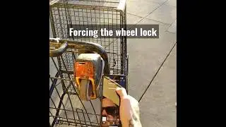 Shopping cart hacking 