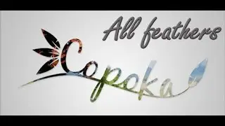 Copoka (PC, 2017) All feathers - 